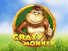 Crazy Monkey